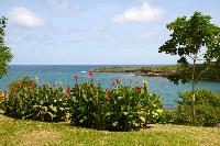 TheGrenadinesCollection