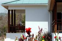 TheGrenadinesCollection