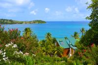 TheGrenadinesCollection