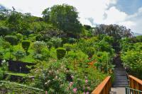 TheGrenadinesCollection