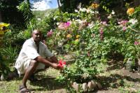 TheGrenadinesCollection