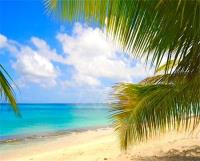 TheGrenadinesCollection