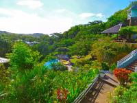 TheGrenadinesCollection