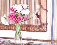 TheGrenadinesCollection