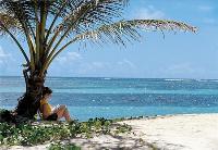 TheGrenadinesCollection