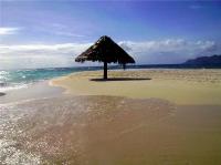 TheGrenadinesCollection