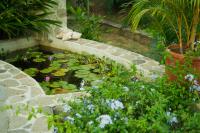 TheGrenadinesCollection