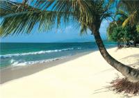 TheGrenadinesCollection