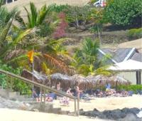 TheGrenadinesCollection