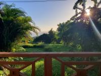 TheGrenadinesCollection