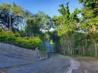 TheGrenadinesCollection