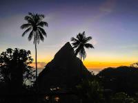 TheGrenadinesCollection