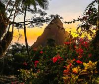 TheGrenadinesCollection