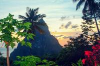 TheGrenadinesCollection