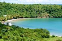 TheGrenadinesCollection