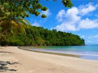 TheGrenadinesCollection