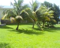 TheGrenadinesCollection