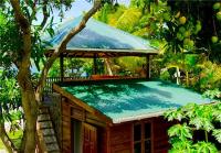 TheGrenadinesCollection