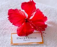 TheGrenadinesCollection