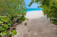 TheGrenadinesCollection