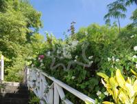 TheGrenadinesCollection