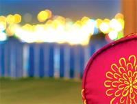 TheGrenadinesCollection