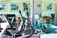 TheGrenadinesCollection