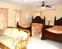 TheGrenadinesCollection