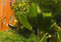 TheGrenadinesCollection