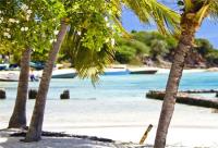 TheGrenadinesCollection