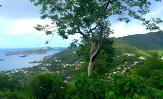 Bequia Estates LOT 1