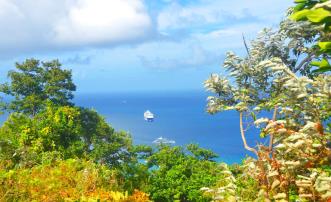 Mount Pleasant Land - Admiralty Bay Views