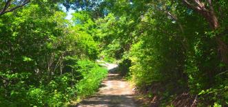 Bequia Estate Plot 6