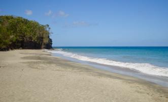 1 Acre Beachfront Lot