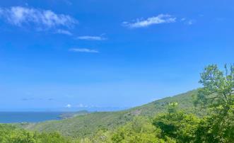 Friendship Heights Lot 25