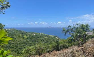 Friendship Heights Lot 25