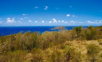 Friendship Groves Plot 1