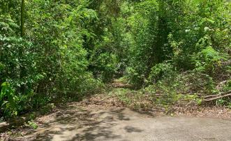 Crown Point Land GR 991 Lot 6