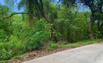 Crown Point Land GR 991 Lot 6
