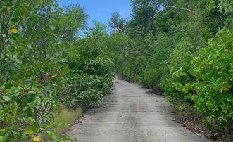 Friendship Heights Lot 31