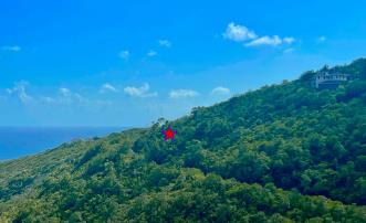 Friendship Heights Lot 31