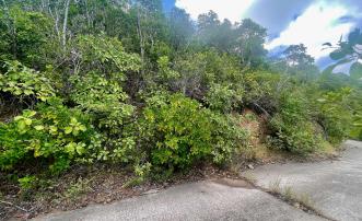 Friendship Heights Lot 31