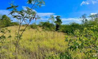 Mount Pleasant Land GR1633