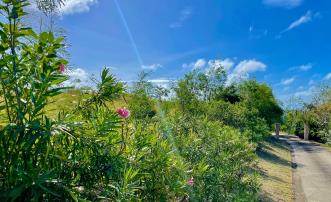 Mount Pleasant Land GR1633