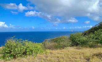 Mount Pleasant Land GR1634