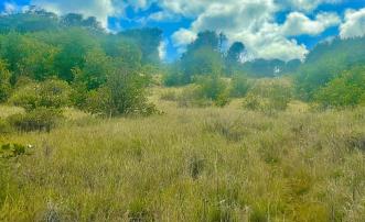 Mount Pleasant Land GR1634