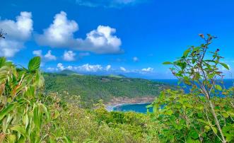 Mount Pleasant Land GR1634