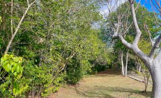 Mount Pleasant Land GR1637