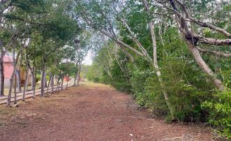 Mount Pleasant Land GR1637