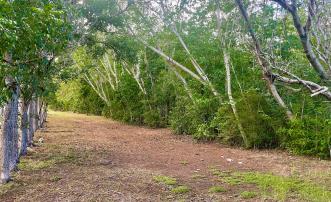 Mount Pleasant Land GR1637